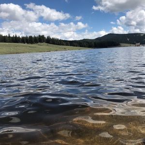 Meet your Posher, Jillian